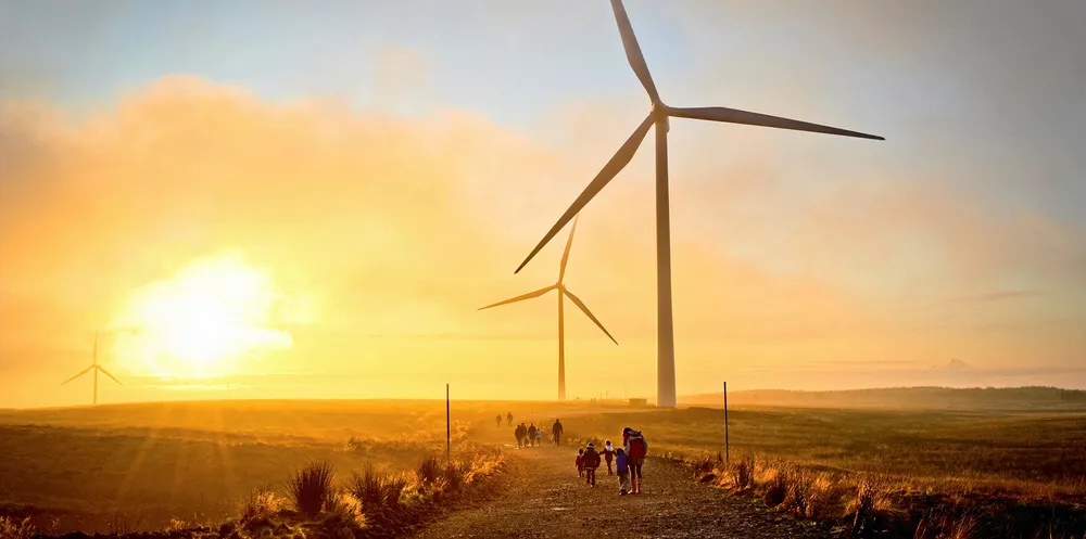 Texas heatwave burns wind owners as hedge deals spark punishing losses
