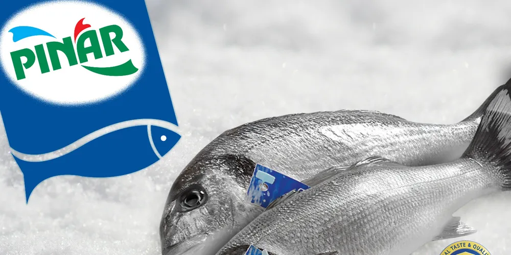 Turkish seafood supplier: Build the market, and sales will follow