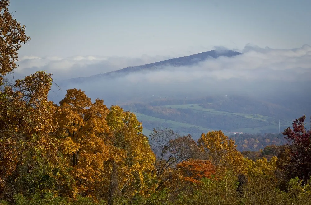 Rollin' on the river: Big net pay for parnters at Shenandoah-2