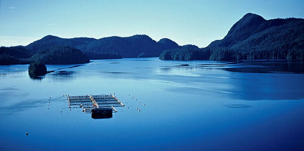 Creative Salmon's farming operation in Tofino, BC.