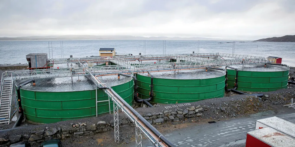 Njord Salmon har anlegg i Bioparken på Tjeldbergodden i Møre og Romsdal. Foto: Ole Morten Melgård