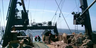 Russian Far East giant sees strong pollock demand