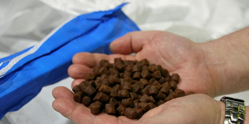 Sustainabilty of crops may have a hand in the future of feed.