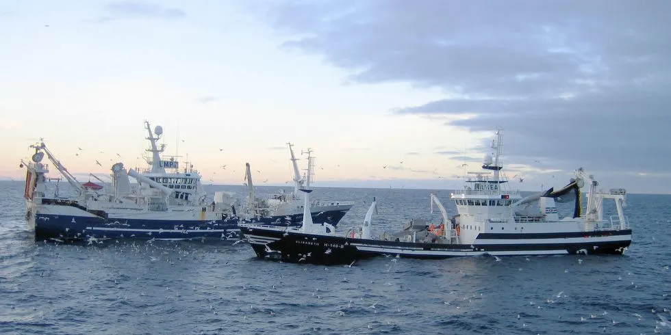 Ringnotbåten ”Elisabeth” (th – her sammen med kollega ”Krossfjord”) melder om etterlengtet bedring i loddefisket i nord. Foto: Rune Kvamme.