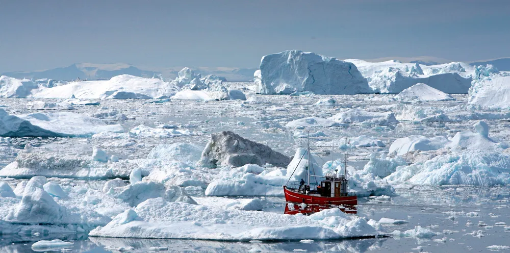 Work is being undertaken to update Greenland's policies on feed in order to enhance its fish meal and fish oil export opportunities.
