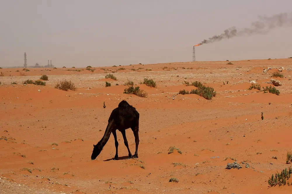 Mott MacDonald bags Khafji work