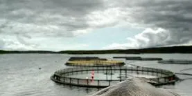 Endringer for Havlandet