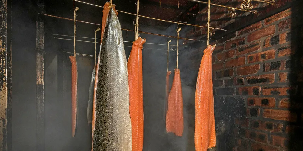 MacKnight salmon.
