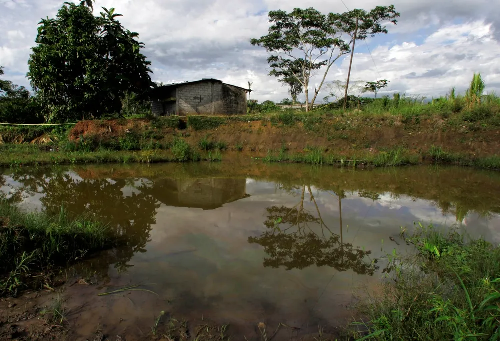 Chevron case: Company presents evidents of fraud by consulting company