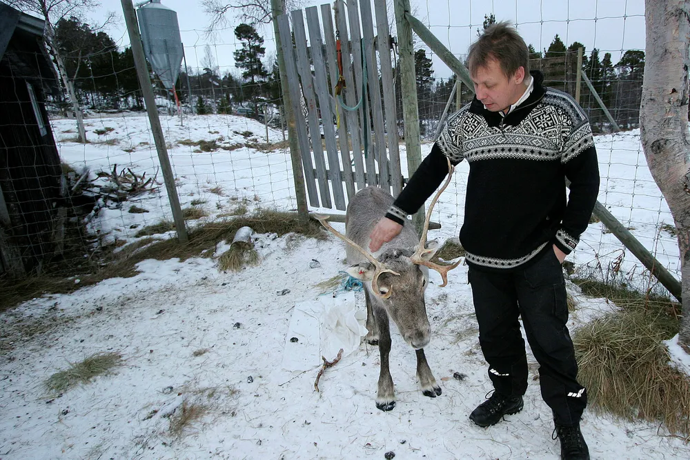 – Et kvartsbrudd i Nasafjellet vil få stor betydning for mange reindriftseiere, sier Per Ole Oskal som har 600 reinsdyr før kalving i området Foto: Arnt E. Pedersen, Avisa Nordland