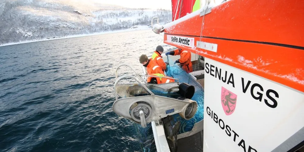Elevene ved Naturbruk BLÅ. ved Senja videregående skole kan få selskap av flere jenter i fremtiden. Foto: Kjetil Ronesen