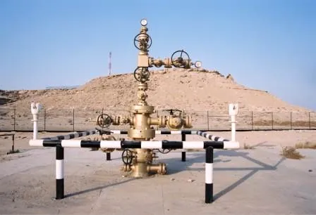 Well work: For Kentz at Qatar's Dukham field