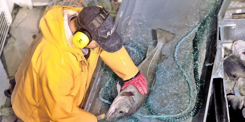 Fiskebåt vil ikke gi bort fisk til kystfiskeflåten. Kvotefordelingen må ligge fast.