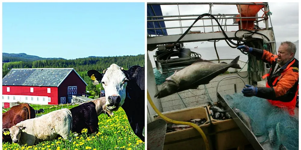 Prioriteringen av norsk landbruk fremfor frihandel for norsk fisk går på bekostning av norsk økonomi og norske interesser, mener forsker Ivar Gaasland. Foto: Ole Martin Melgård og Thor Nielsen
