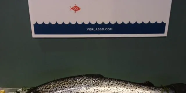 Avslutter samarbeid