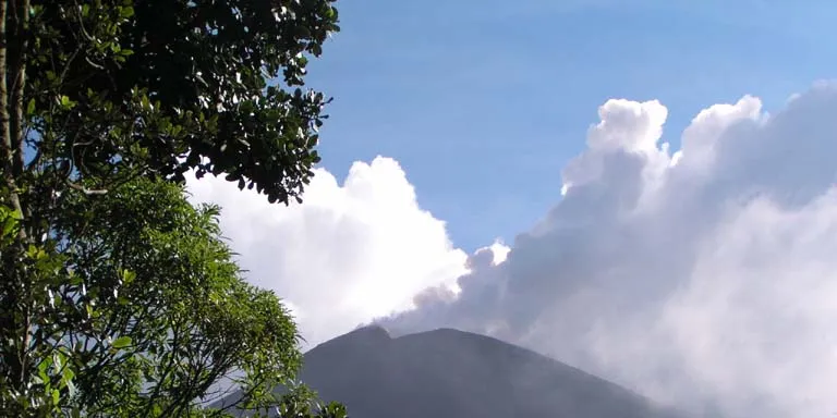 Ormat's Guatemala plant damaged by tropical storm