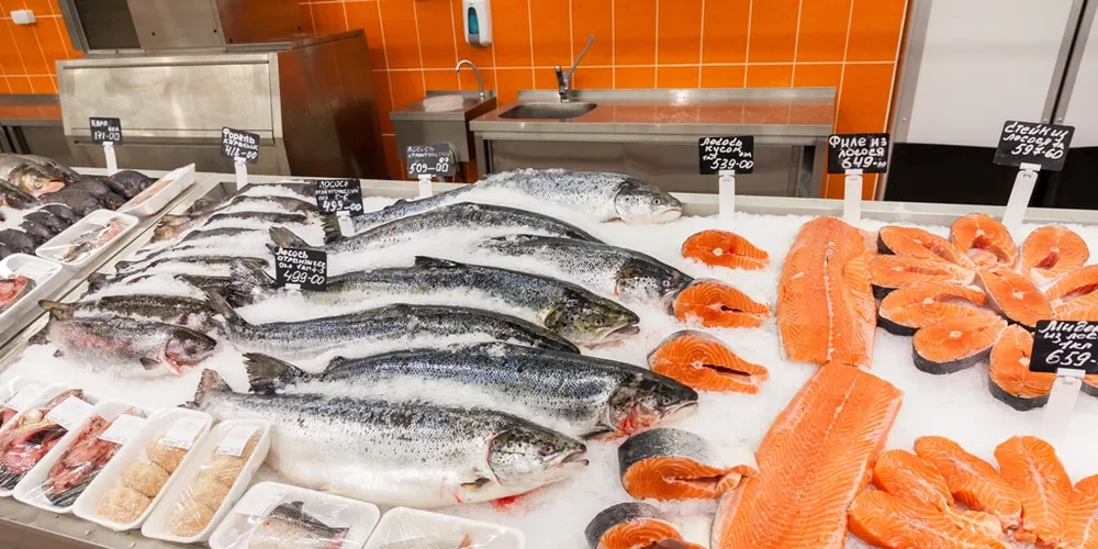 Russian frozen seafood prices up 23%