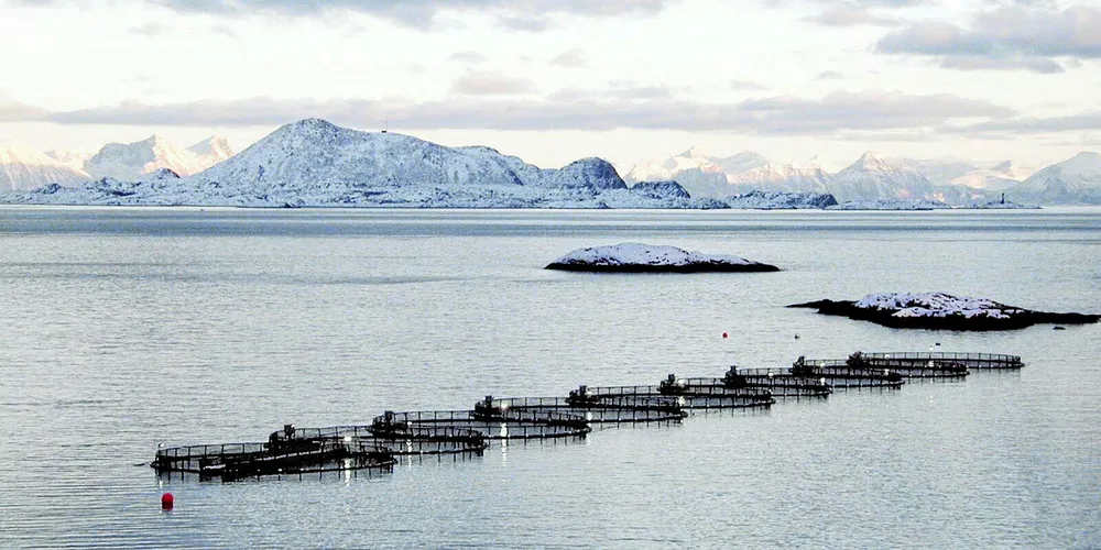 Oppdrett Lofoten. Illustrasjonsfoto: Morten Vikeby