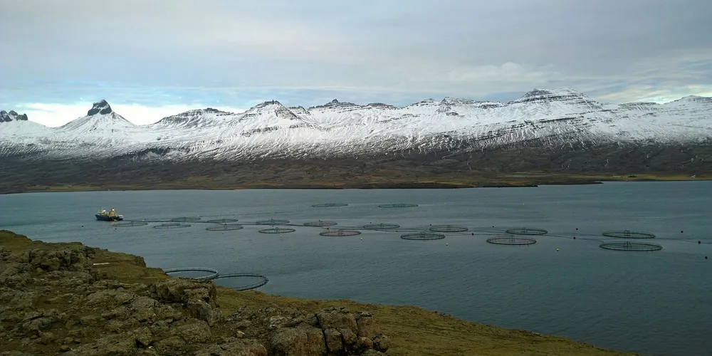 A fish farm in Djúpivogur, Sudur-Mulasysla, Iceland.
