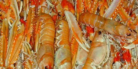Associated Seafoods widens losses on frozen langoustine exit