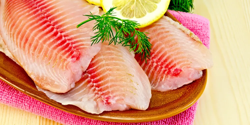 AquaChile's tilapia operations struggling to turn a profit