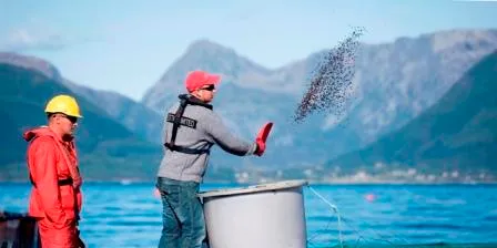 DnB selger seg ned, Orkla kjøper i Cermaq