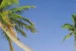 Island style: several Pacific nations are seeking to extend their economic zones further into the surrounding ocean