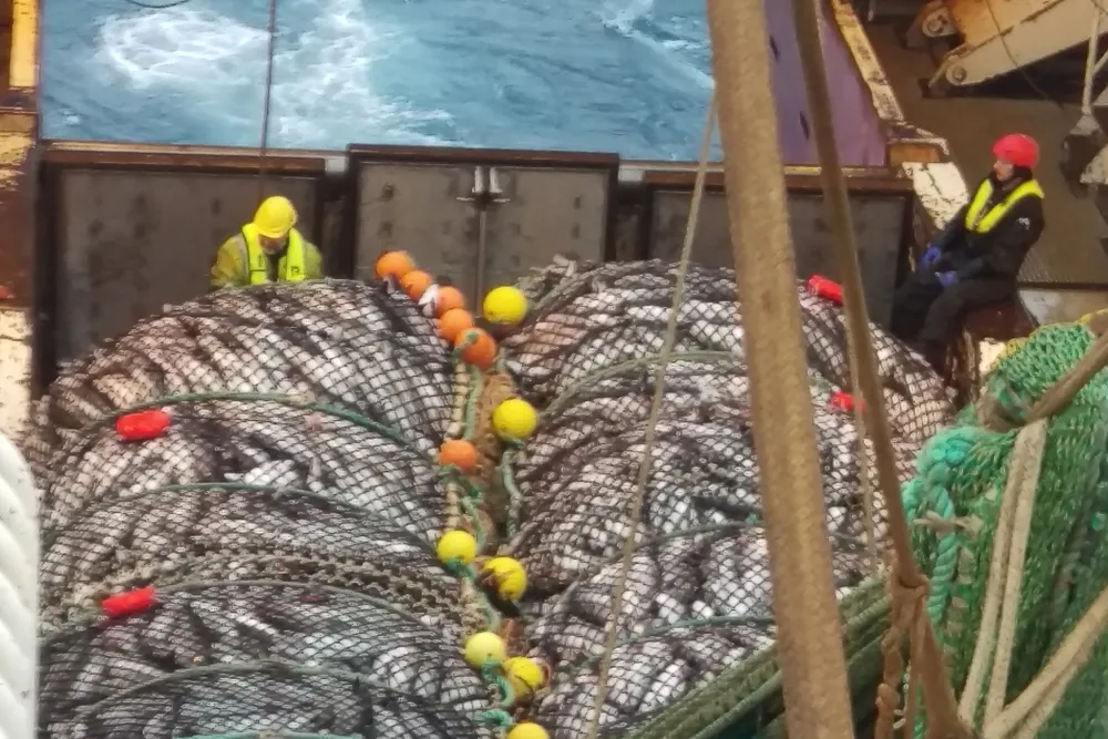 Trålen blir dregen langs havbotnen og gjer kål på alt av tareskog og korallrev, samtidig som han riv med seg krepsdyr og krabbar i tillegg til alle typer fisk, skriv Knut Vadla, fiskarbonde, lærar og blåskjelldyrkar og Kirsten Engelstad, forleggjar og forfatter.