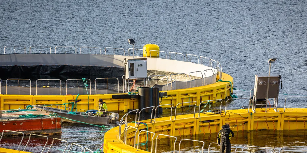 Lukket merd konstruert av Akvadesign Systems i Brønnøysund. (Pressefoto)