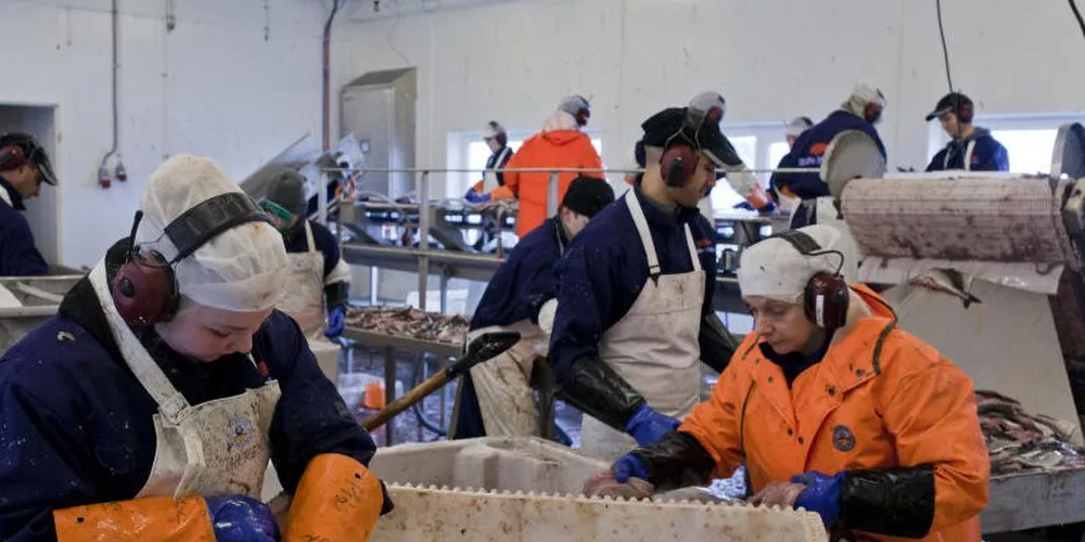 24 av 29 tilsyn i vinter viser betydelige brudd på arbeidsmiljølov, og i mange tilfeller er det snakk om sosial dumping skriver Arbeidstilsynet i sin rapport.Ill.foto: Elise Årdal