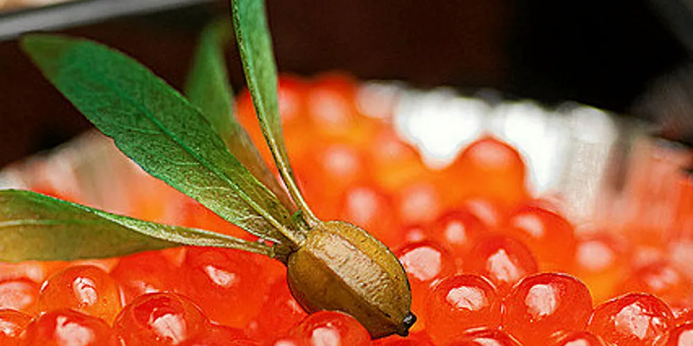 The growth in salmon roe production was propelled by record wild salmon catches in the Far East.