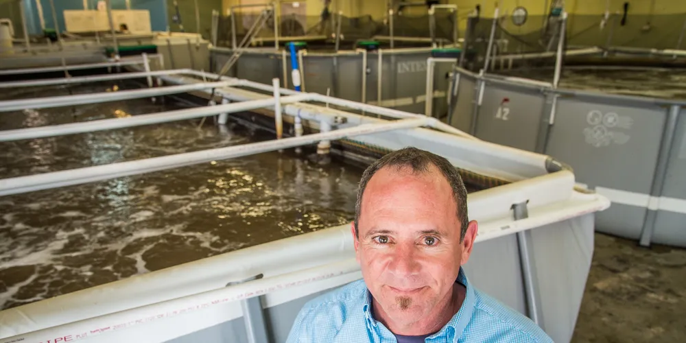 The shrimp farm built on cotton