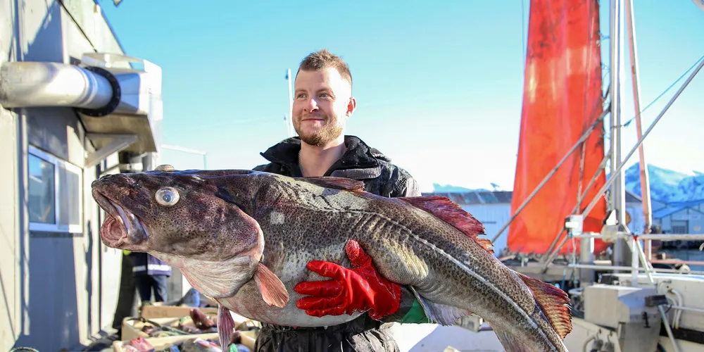 Whitefish was big last month.