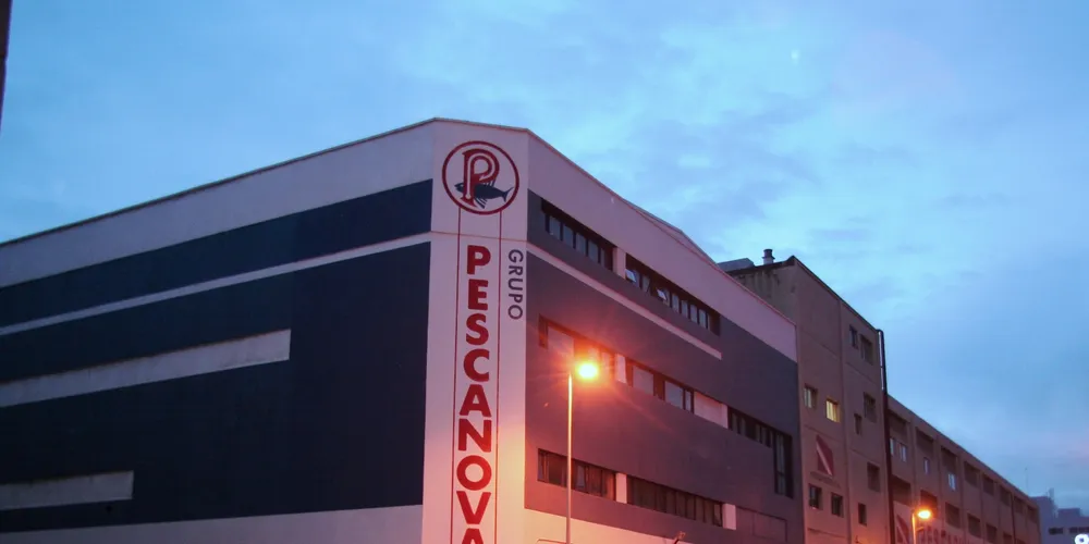 New Pescanova appoints board of directors