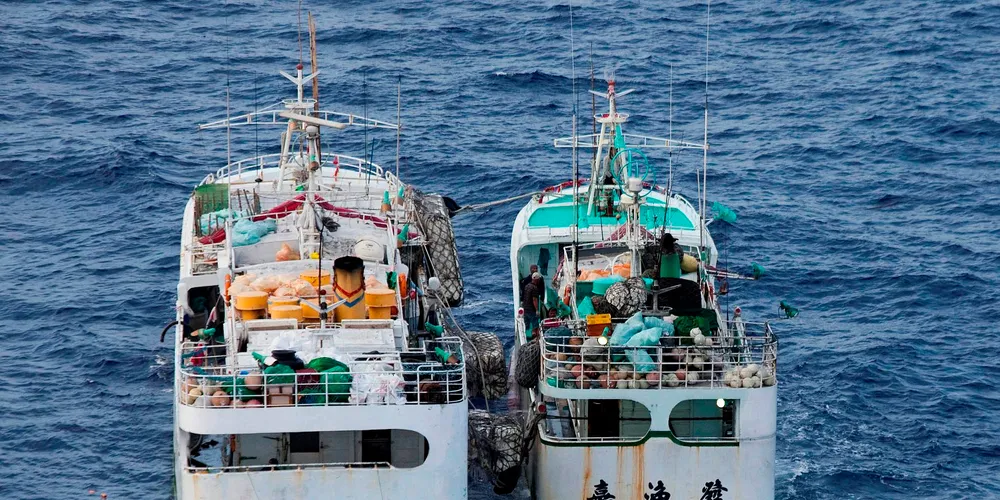 Photo: Greenpeace