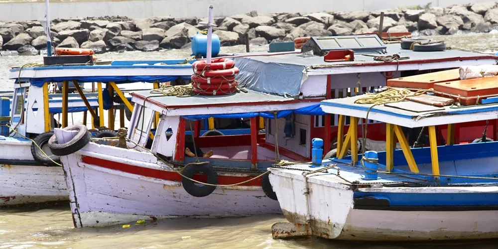 India’s MPEDA could cease to exist