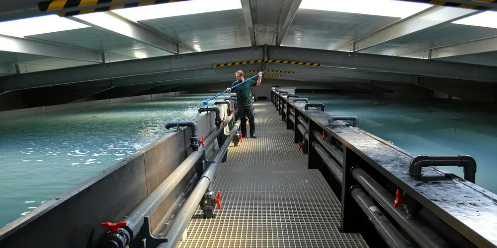Photo: Green Aqua Farming