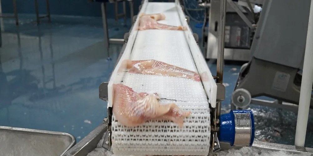 Prices for Icelandic cod and haddock have been at record high levels in recent years, reaching a peak last summer, but are now coming down slightly.