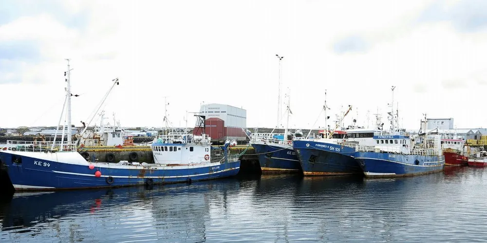 Islandske fiskebåter lå ved kai i januar, da det var fiskestreik på Island.Foto: Nils Torsvik/Fiskeribladet