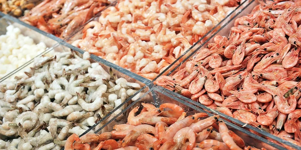 Analysts: Thai shrimp producers to remain 'competitive' without EU trade privileges