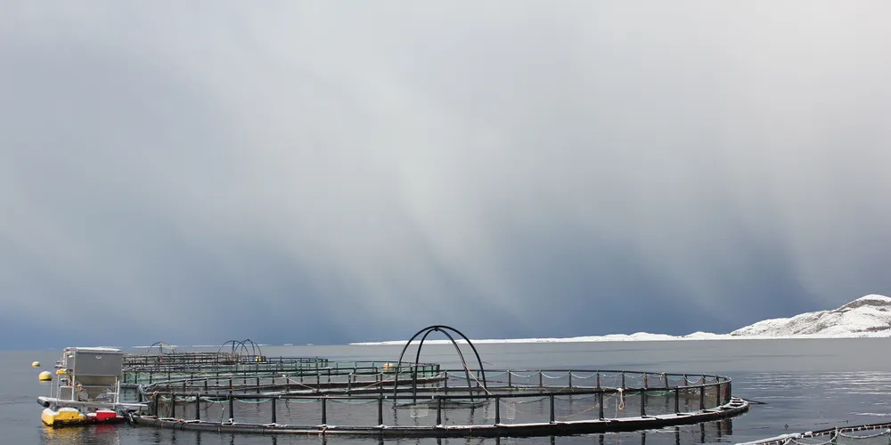 Norway Salmon Farm