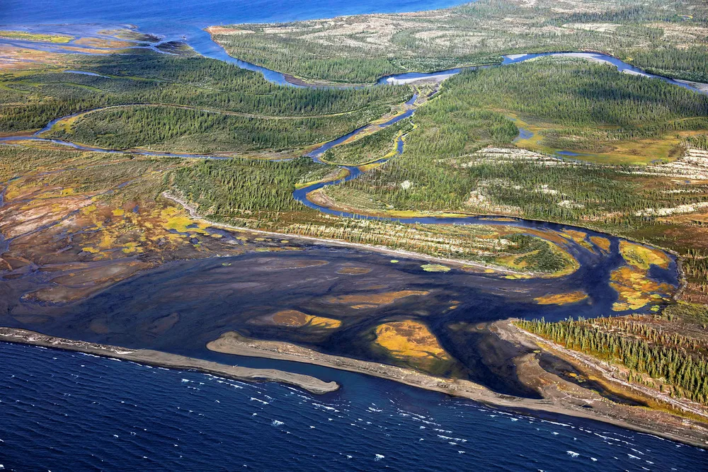 Licence to explore: part of Russia's Brekhovsky Islands nature reserve, where Rosneft looks to explore two gas blocks