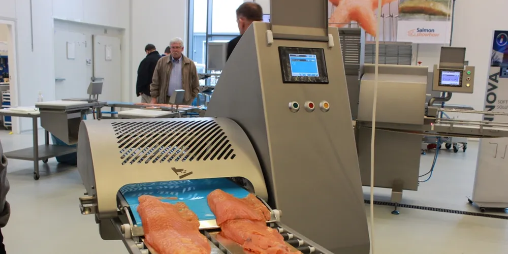 A silver lining to Chile's troubles: a more automated salmon industry