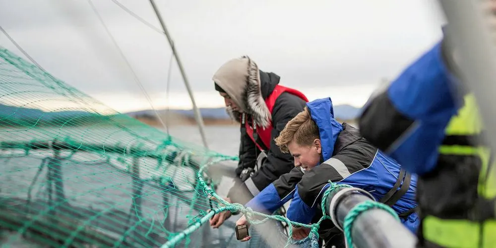 Skoleungdom: Havbruk er en framtidsnæring for ungdom i Nordland som fortsatt ønsker å bo i fylket når de skal ut i arbeidslivet. Dette bildet er fra et av Sett Sjøbein sine mange rekrutteringsarrangement langs kysten.Ill.foto: Janita Arhaug/Sett sjøbein