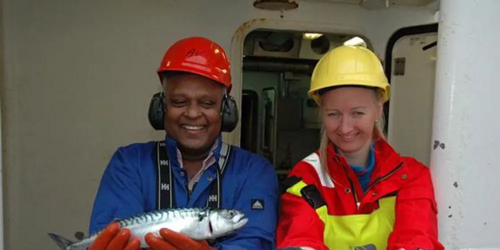 Valantine Anthonypillai og Grethe Torsheim med flotte makrelleksemplarer tatt nord i Norskehavet. Foto: Leif Nøttestad/Havforskningsinstituttet