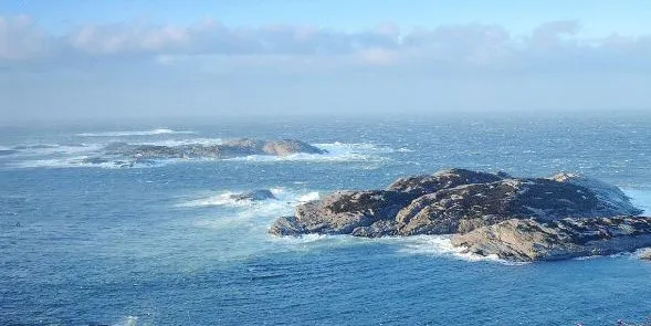 Chile’s salmon workers more likely to die on job than Norway's