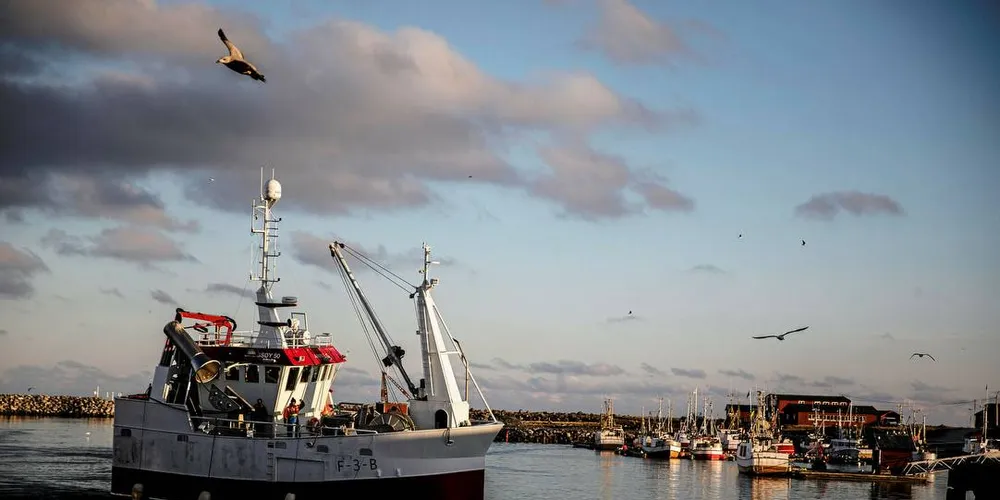 Kystfiske: Torgeir Knag Fylkesnes (SV) vil bedre forholdene for fiskerinæringen i kystsamfunn. Her fra Berlevåg.Illustrasjonsfoto: Per Thrana