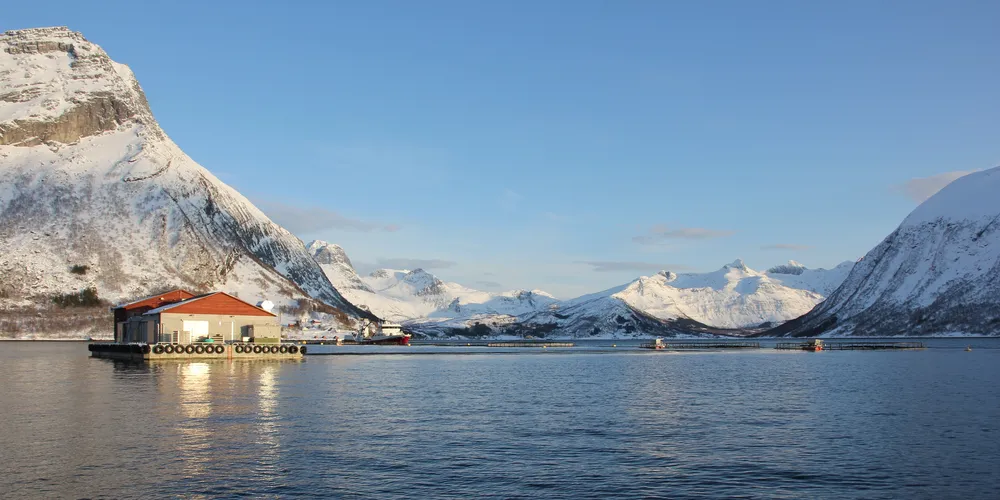 Norway Salmon Farm