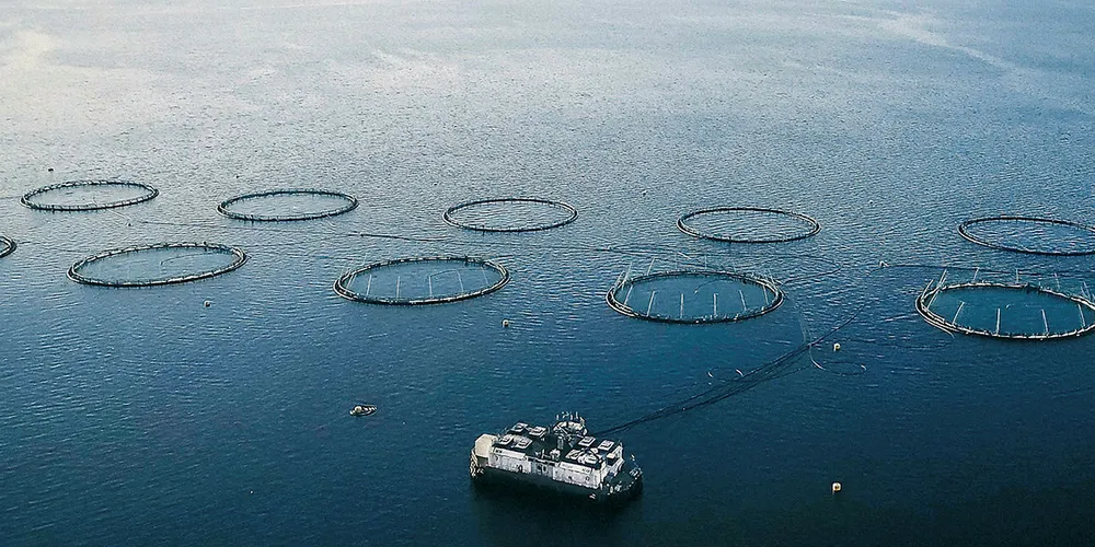 Wilsgård Fiskeoppdrett har inngått avtale med JM Hansen AS om landstrøm og elektrifisering av fire havbrukslokaliteter utenfor Senja, Ibestad og Reinøy i Karlsøy kommune.