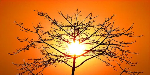 Welspun raises $161m for 130MW Indian PV plant